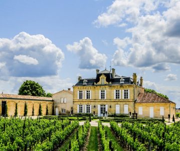 francia-saint-emilion-vigneti